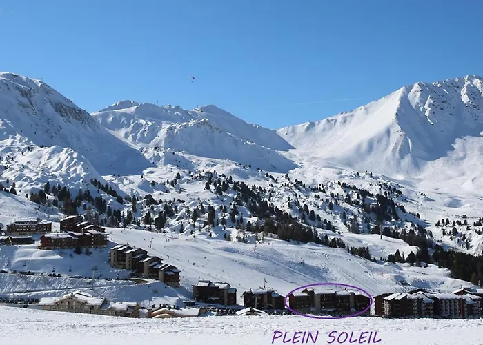 Triplex Avec Grande Terrasse Sur Pistes - Fr-1-455-73 公寓 拉普拉涅